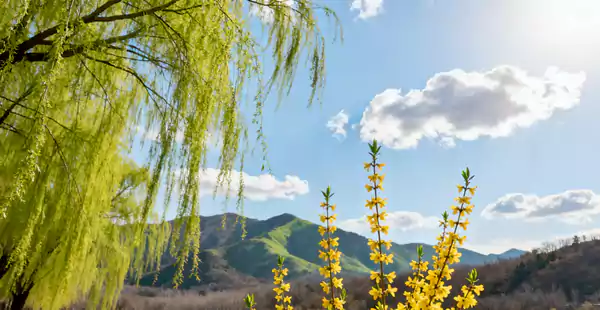 格律诗-冬思春既冬思春的评论